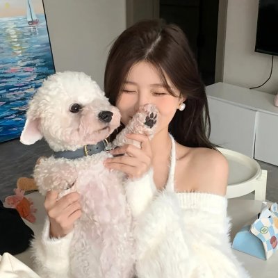 来自美国的莫里斯